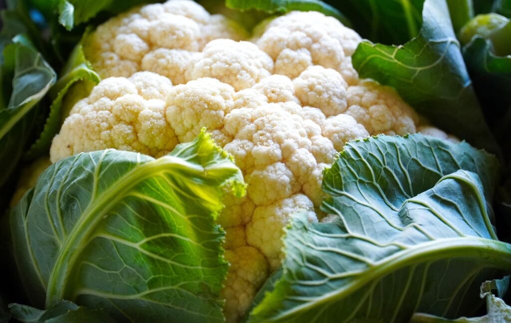 Coliflor