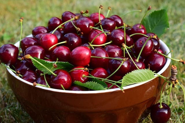 cerezas