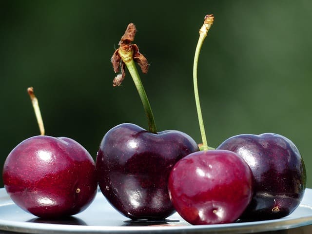 cerezas