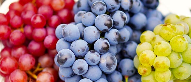 uvas