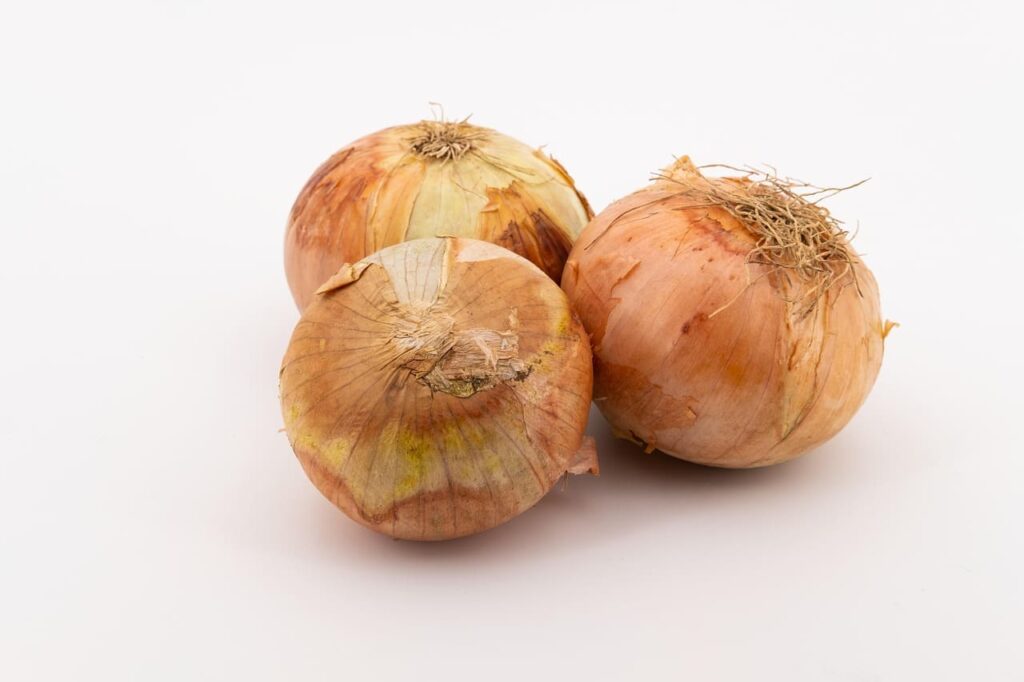 Cebolla