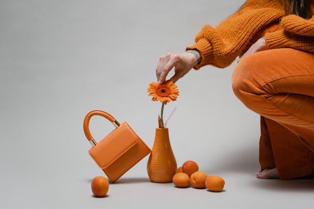 albaricoque bolso
