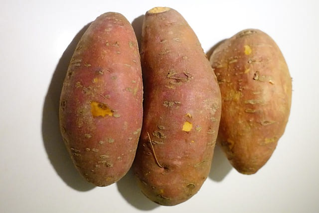 Boniato