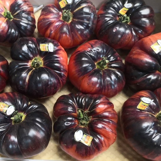 tomate azul