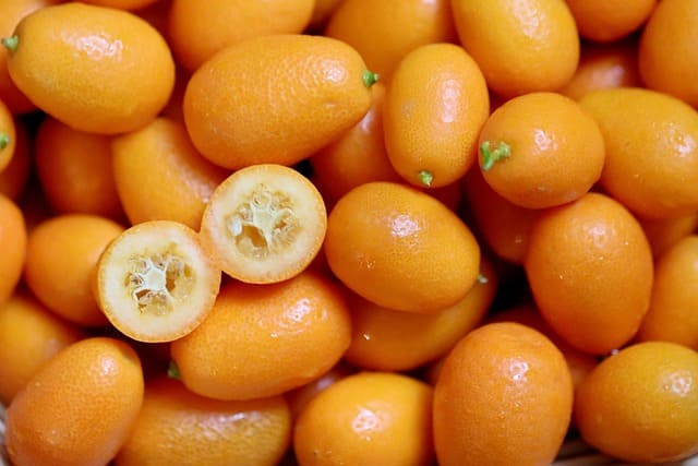 kumquat