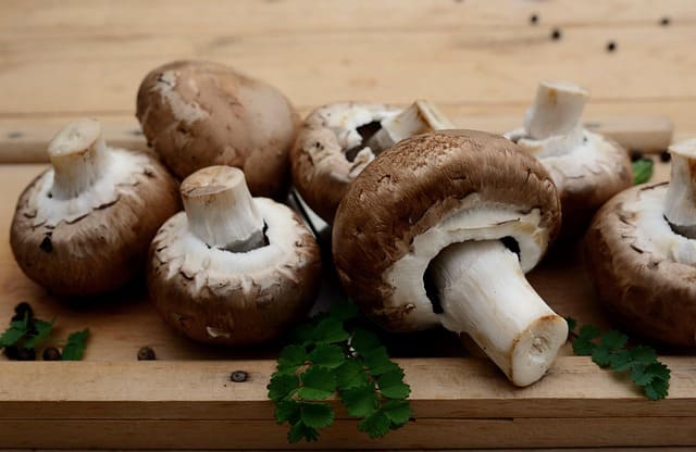 champiñon portobello
