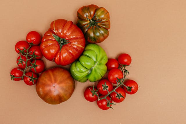 tomates