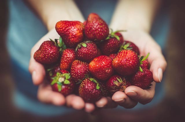 fresas manos