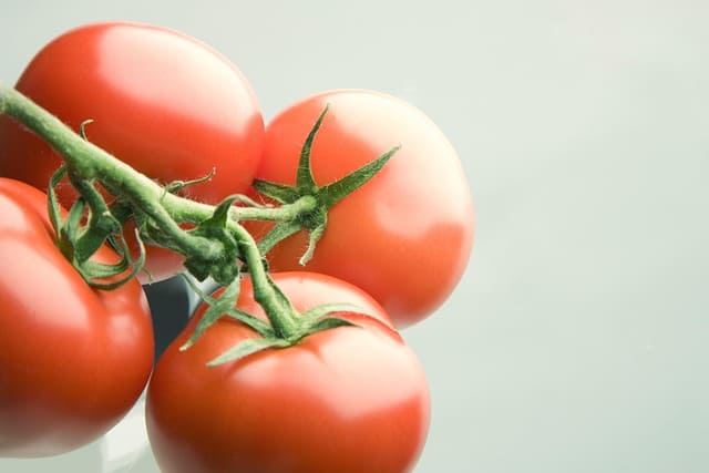 tomate rama