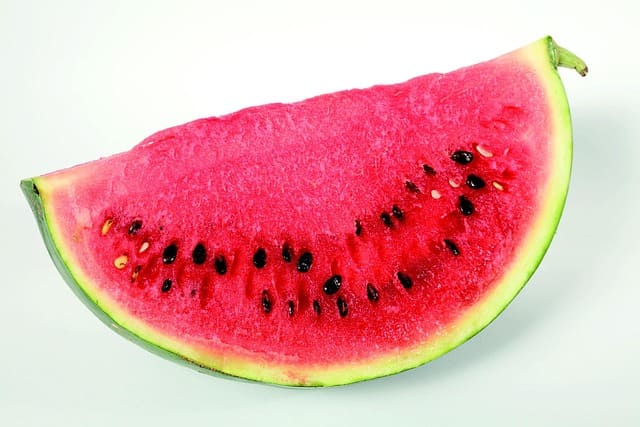sandia