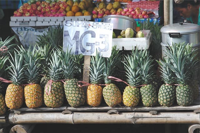 piñas tienda