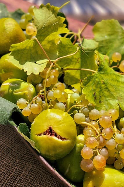 higos y uvas