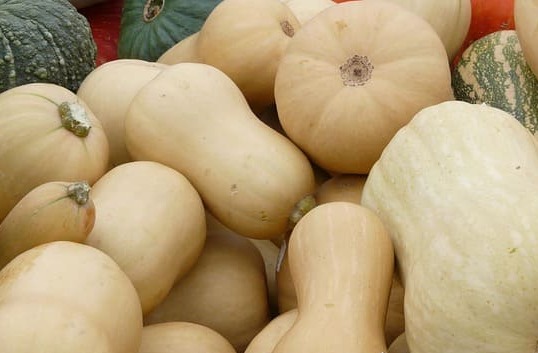 calabazas