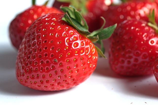 fresas
