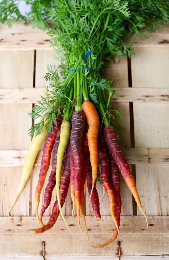 zanahorias 