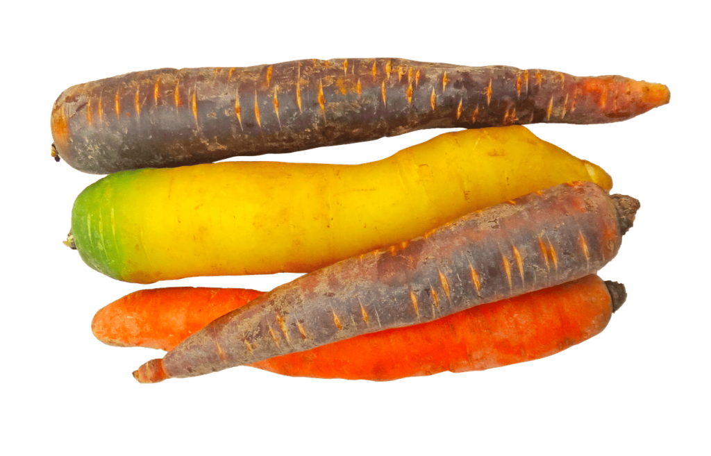 zanahorias