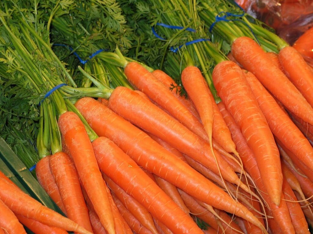 zanahorias manojo