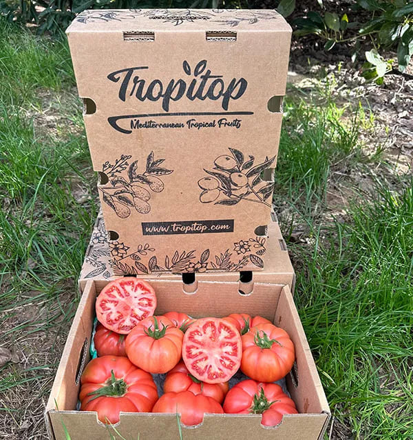 Tomate Rosa Tropitop